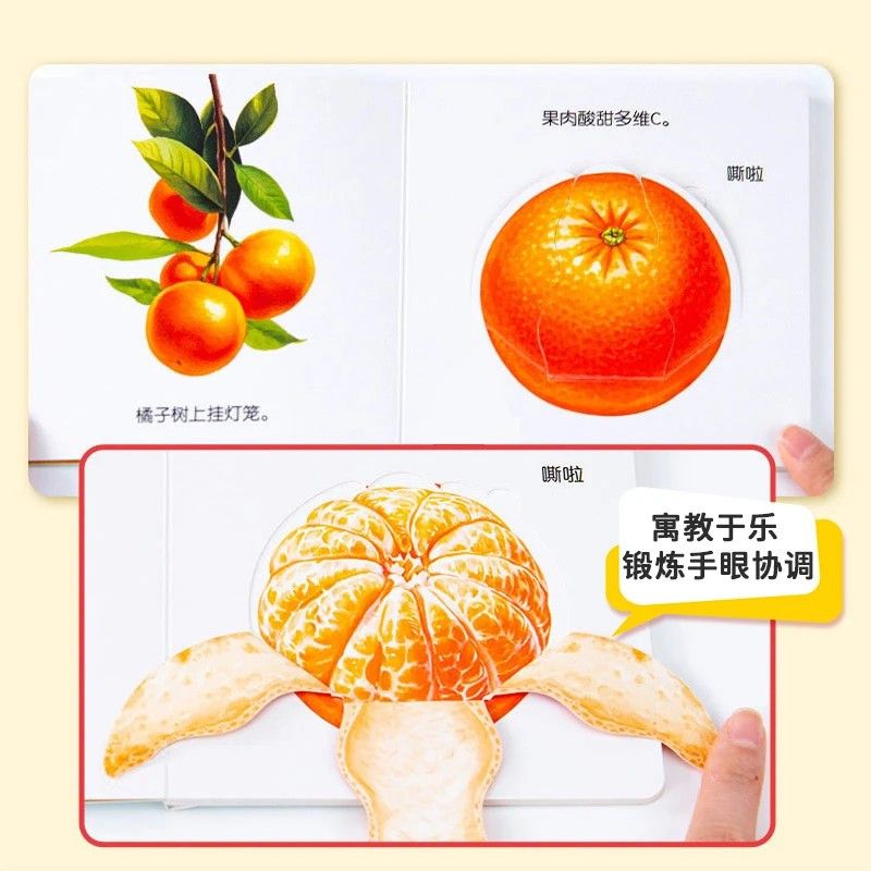 Flipbook zur Bildung von Säugl – Baby Food Year Old Bewertung und Preis
